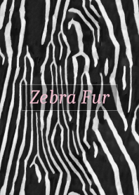 Zebra Fur 24