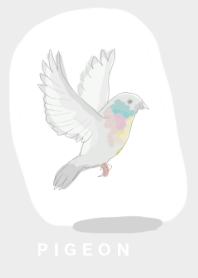 はと