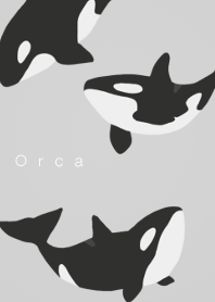 Orca
