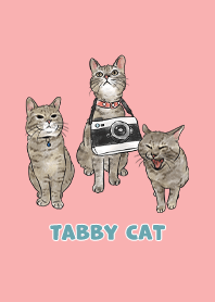tabbycat11 / coral