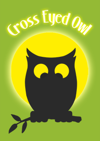 Cross Eyed Owl (JP)