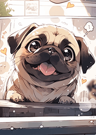 萌呆呆的八哥❤我最愛的狗狗寶貝12