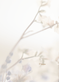Flower Theme ver.Japan 32