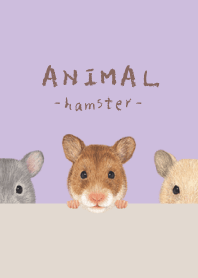 ANIMAL - Golden hamster - LAVENDER