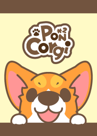 Corgi Pon Pon