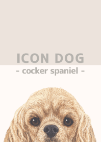 ICON DOG - Cocker Spaniel - BEIGE/01
