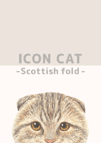 ICON CAT - Scottish fold - BEIGE/06