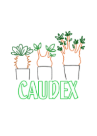 Caudex