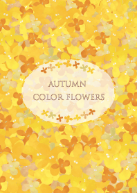 Autumn color flowers -shuffle-