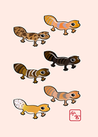 我養的可愛守宮(櫻花粉紅色)