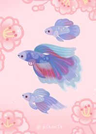 Betta fish