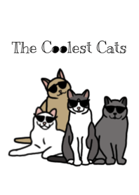 クールな猫