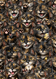 可愛！ 玳瑁貓主題