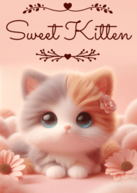 Sweet Kitten No.27