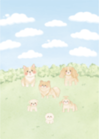 Cute puppy & Garden