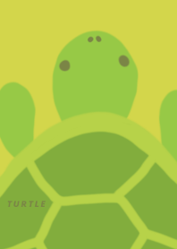 Turtles