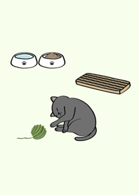 我養的小廢貓(灰色貓咪)