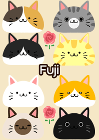 Fuji Scandinavian cute cat3
