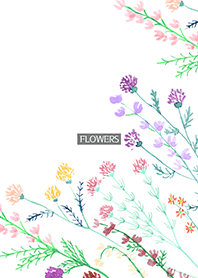 water color flowers_966