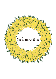 mimosa