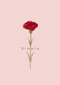 simple Carnation bouquet