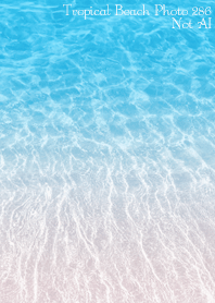 Tropical Beach Photo 286 Not AI