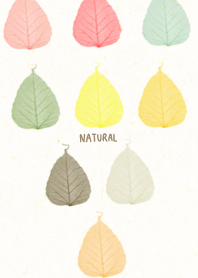 Various leaves colorful7 from Japan