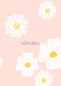 白い花　可愛い