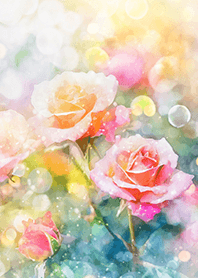 Beautiful rose flower(R1984)