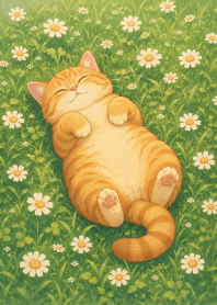 Daisy Blooms & Chubby Cat