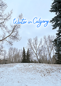 Winter in Calgary (14)