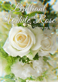 Brilliant White Rose