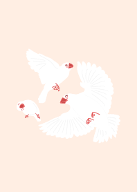 Miss White Java Sparrow