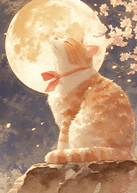 満月と猫