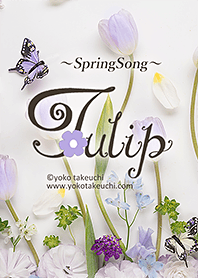 Tulip -Spring Song-