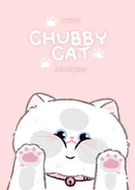 Chubby Cat : White Cat