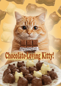 Chocolate-loving kitty!