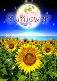 sunflower in the sky!14&Rainbow moon.5