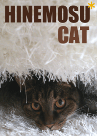 hinemosu*cat 2