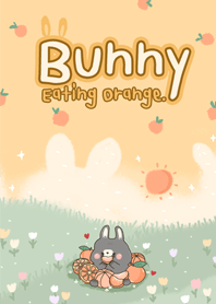 Bunny eating orange.