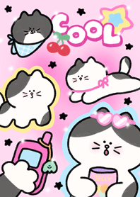 cool with meow