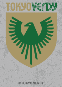 TOKYOVERDY 2022 2nd GRAY and BLACK