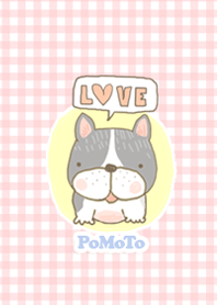 หมาน้อยอ้วนกลมโพโมโตะ