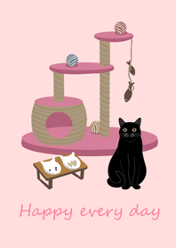 可愛居家貓咪(黑色貓咪)