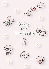 pink Cream Toy Poodle 02_2