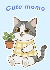 Cute cat Momo (2) (Blue)