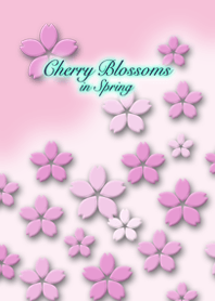 Cherry Blossoms-春・桜の花
