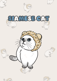 siamesecat6 - light cream .jp