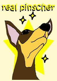 real pinscher
