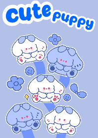 cute puppy new
